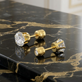 Unisex Zircon Studs Earrings (Double sided Diamonds)